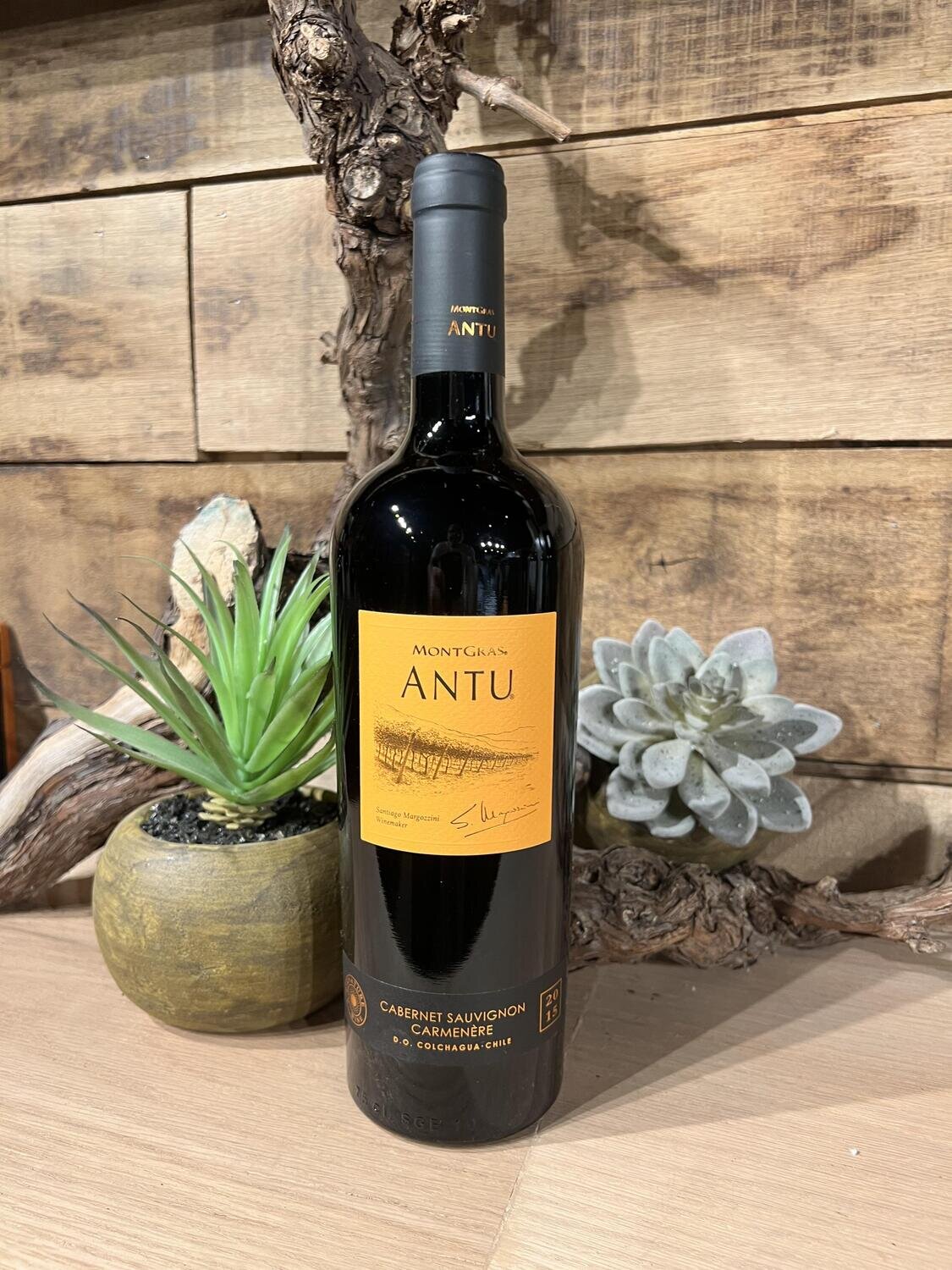 Montgras - Antu Cabernet Carmenère