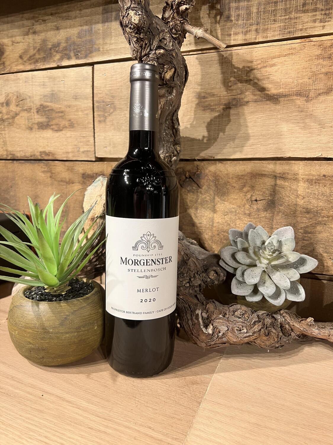 Morgenster Merlot