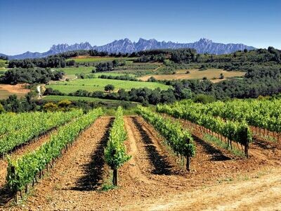 Global Winepartners Spain