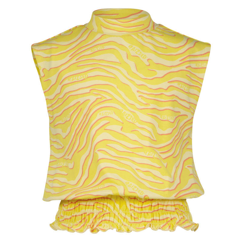 Raizzed T-Shirt fancy yellow