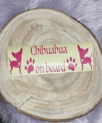 Chihuahua on board