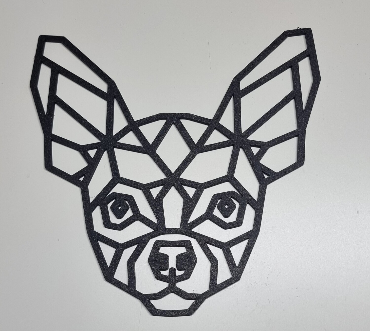Chihuahua hoofdje