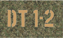 DTS Callsign