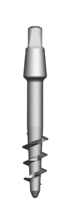 BiCortic Implantat Rundkopf 3.5 x 19 mm