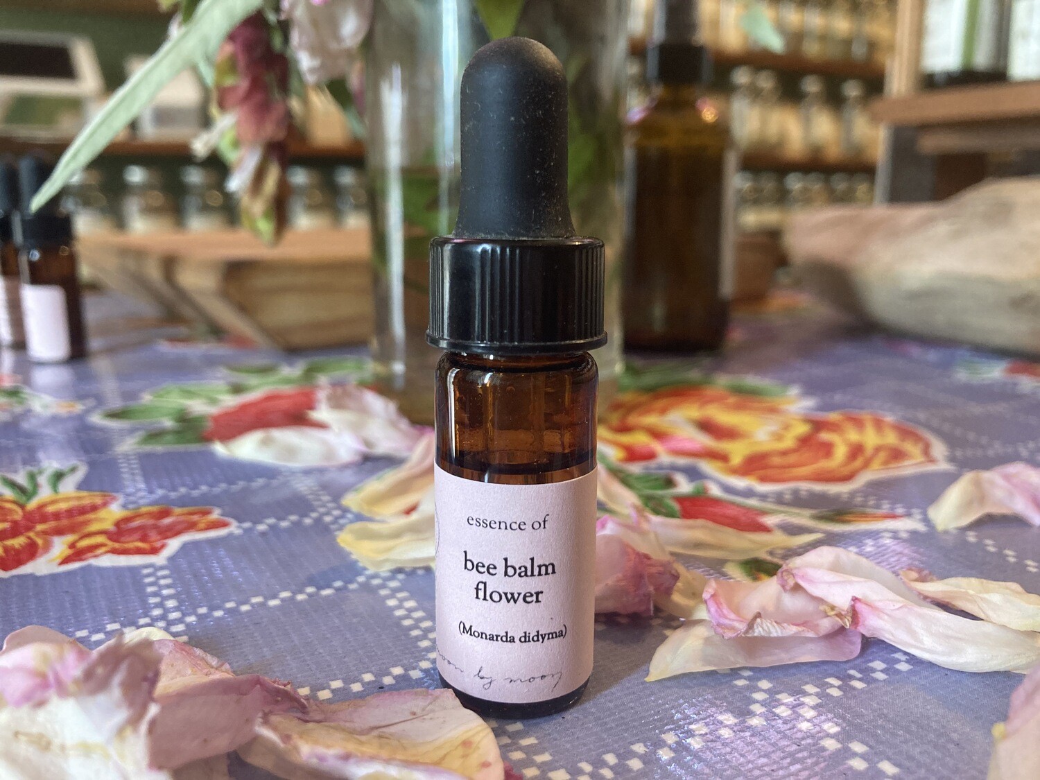 "Bee Balm" Flower Essence by Moon by Moon Apothecary