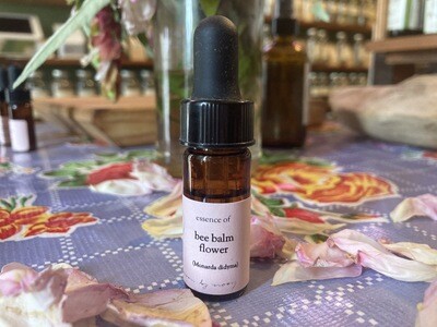 &quot;Bee Balm&quot; Flower Essence by Moon by Moon Apothecary