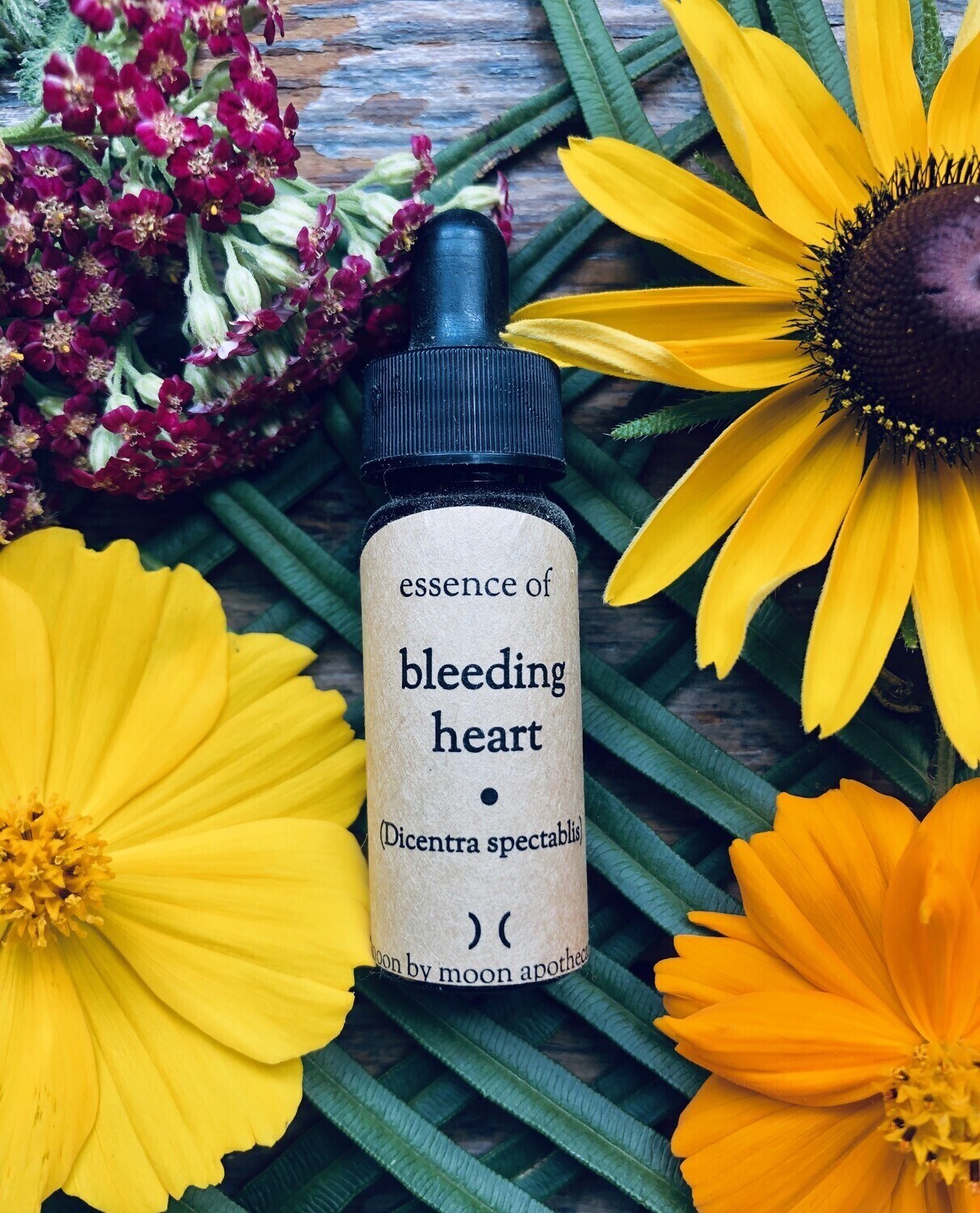 "Bleeding Heart" Flower Essence by Moon by Moon Apothecary