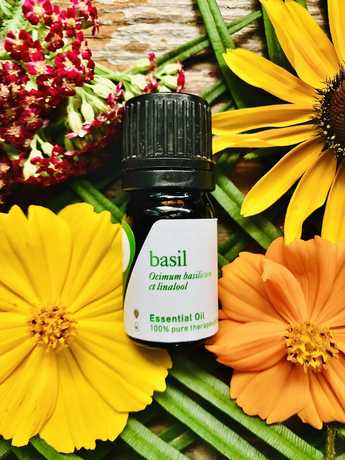 Basil Essential Oil 30 ml