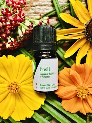 Basil Essential Oil 15 ml