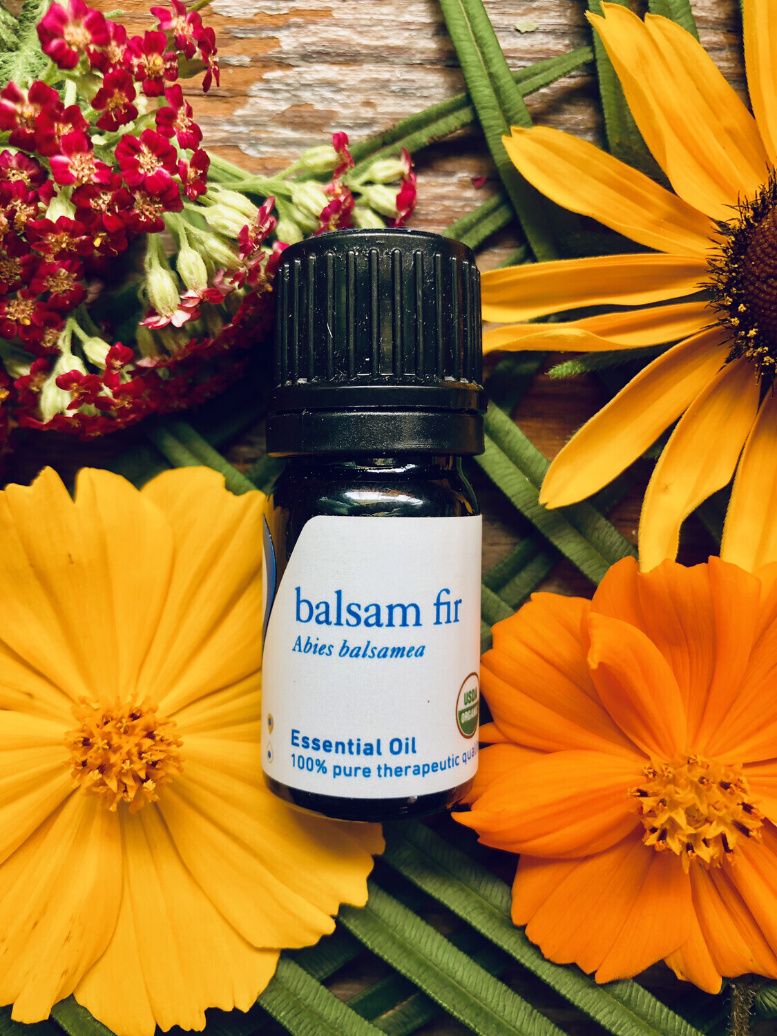 Balsam Fir Essential Oil 30 ml