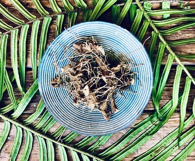 Blue Cohosh, Dried