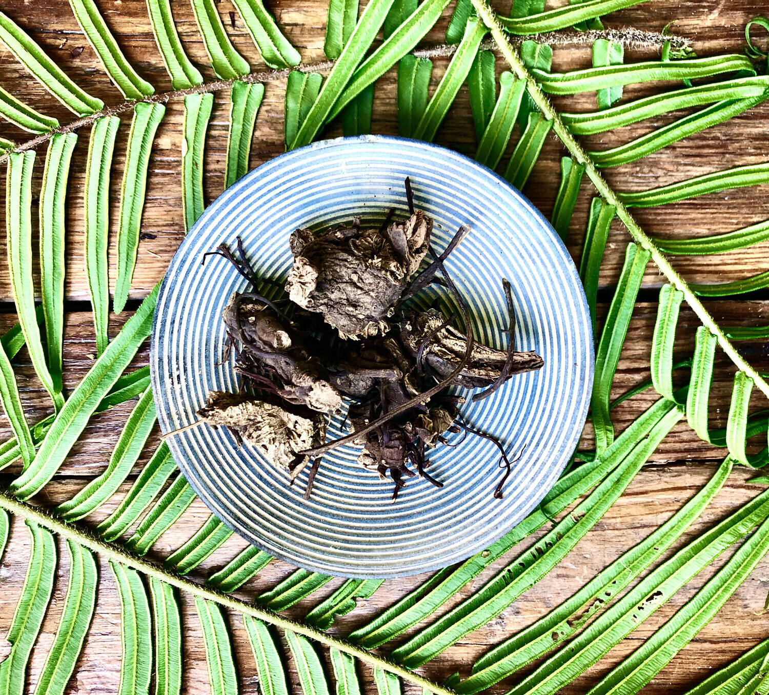 Black Cohosh, Dried