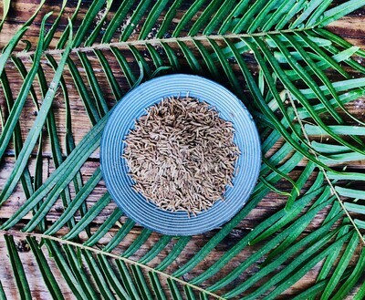 Caraway Seeds, Dried