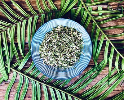 Blue Vervain, Dried