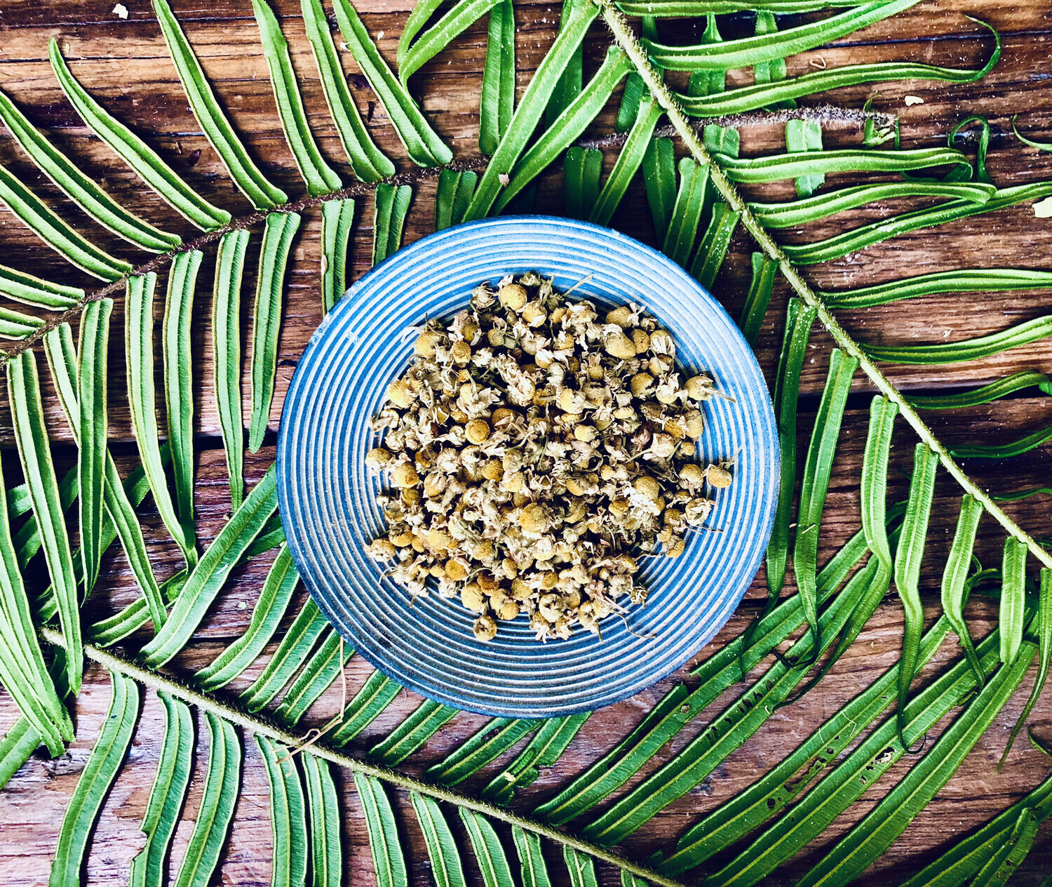 Chamomile, Dried