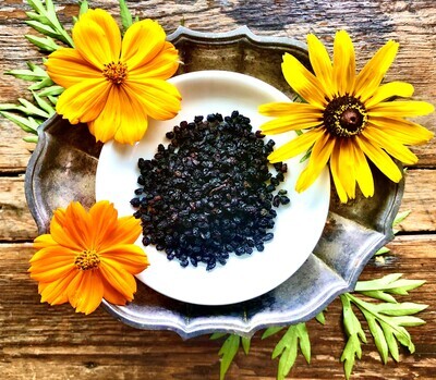 Elderberries, Dried