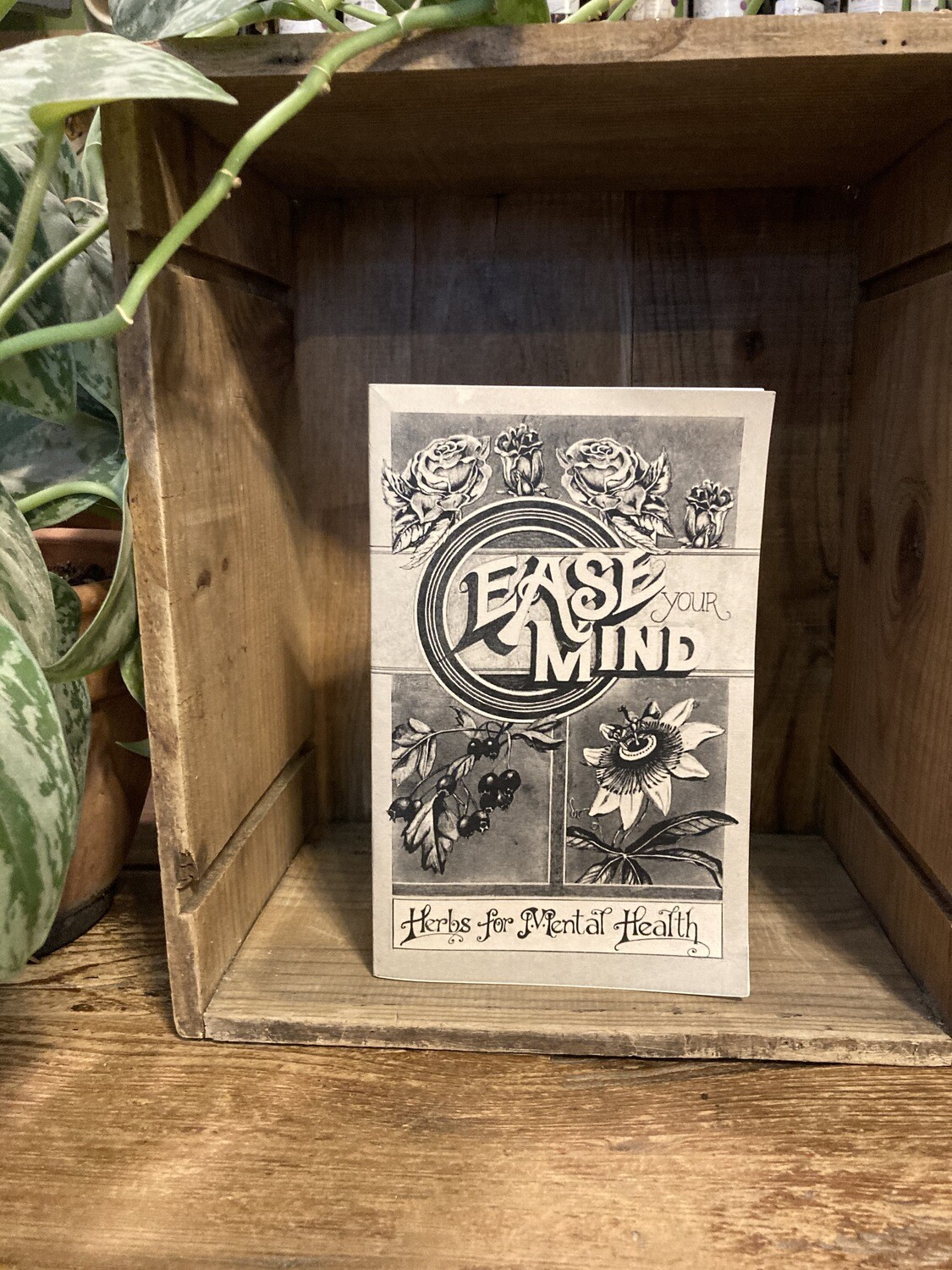 "Ease Your Mind" Zine by Janet Kent