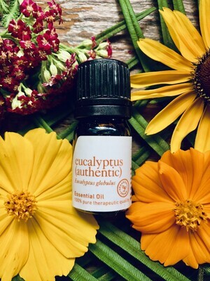 Eucalyptus Essential Oil 5 ml