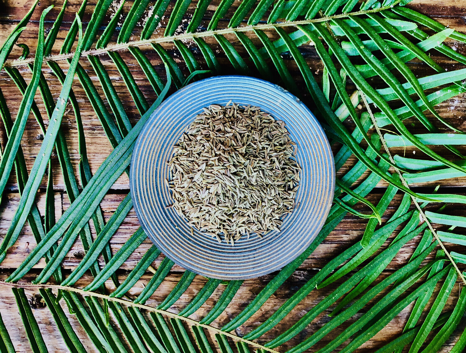 Cumin Seeds, Dried