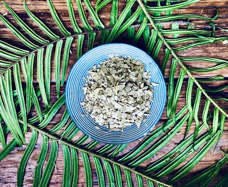 Eucalyptus, Dried