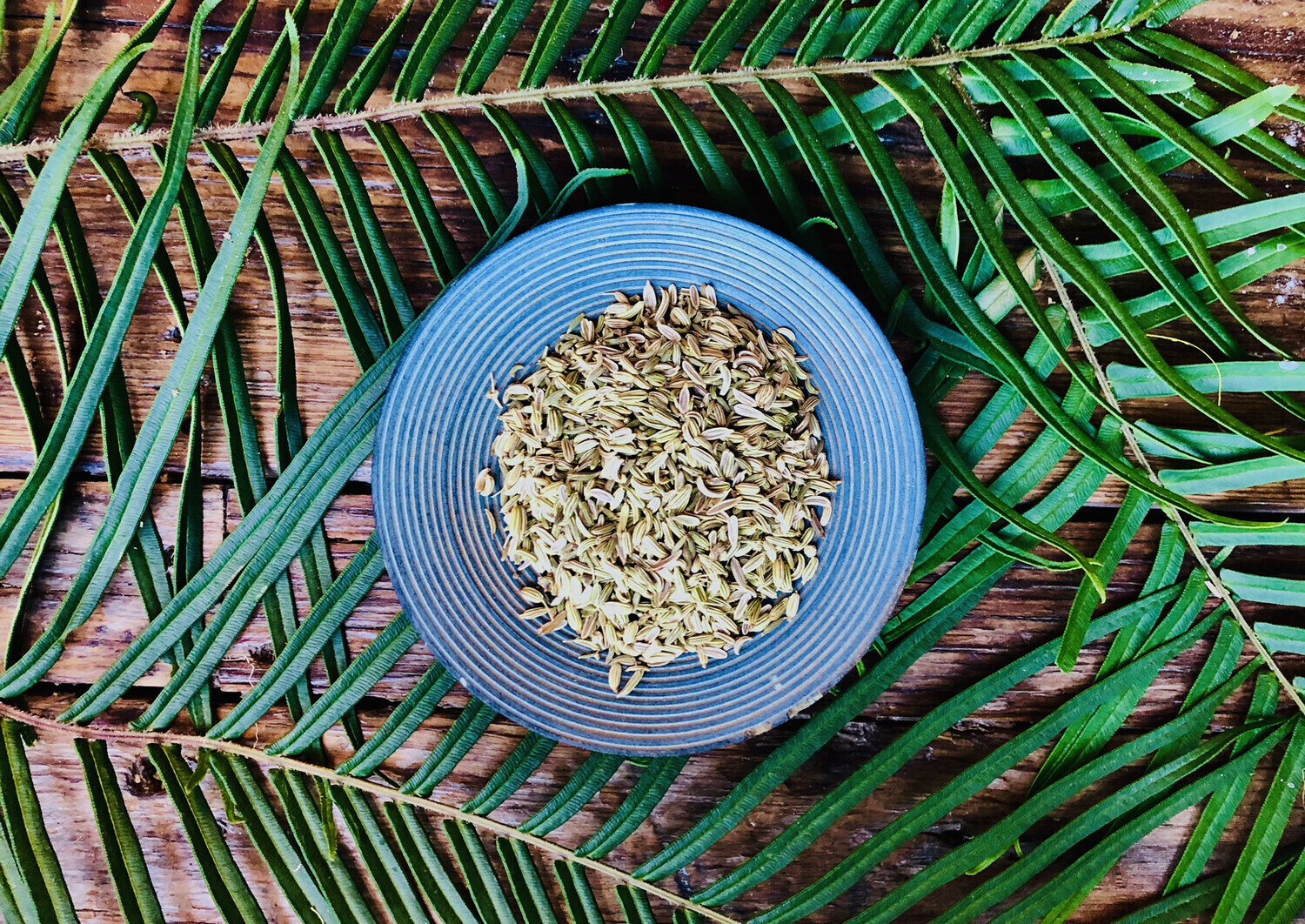 Fennel, Dried