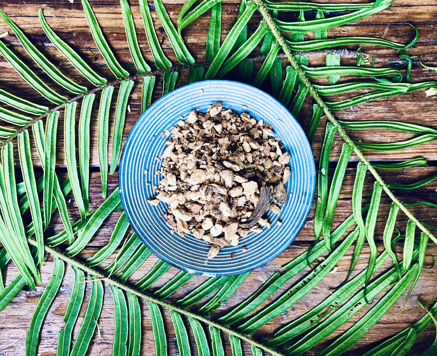 Gentian Root, Dried