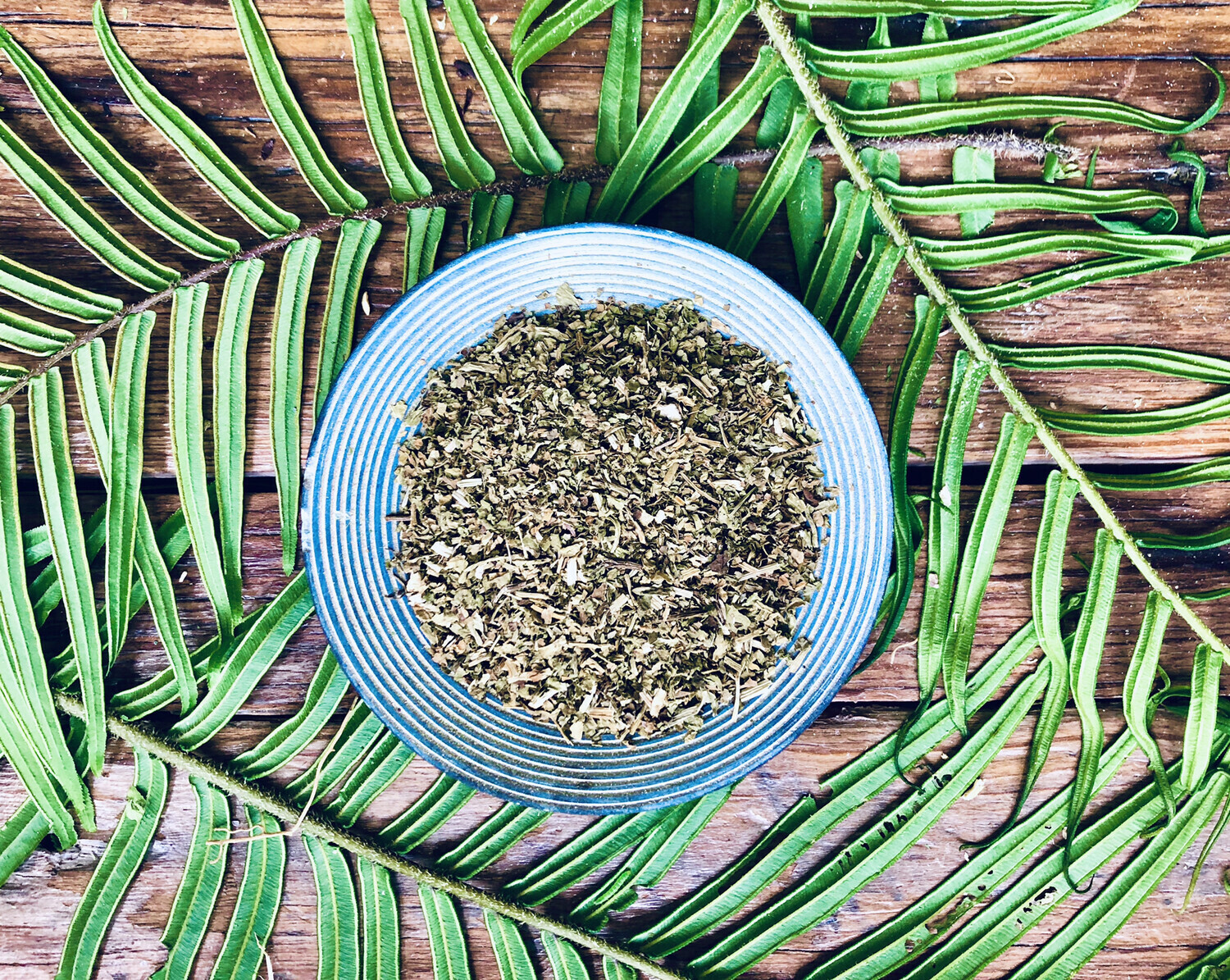 Gotu Kola, Dried