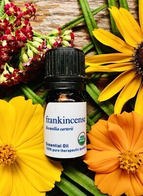 Frankincense Essential Oil 15 ml