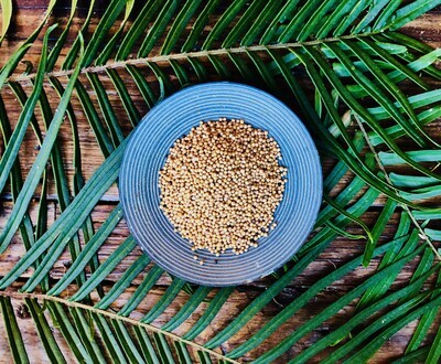 Mustard Seeds (Yellow), Dried