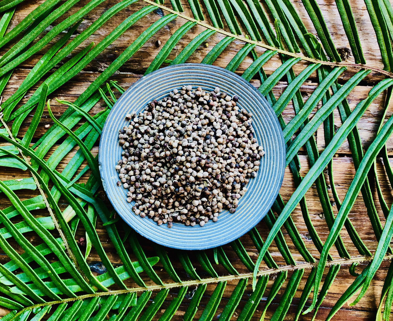 Vitex, Dried