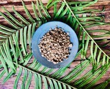 Prickly Ash, Dried