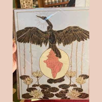 "1 of Shells" Print by Rachel Speck