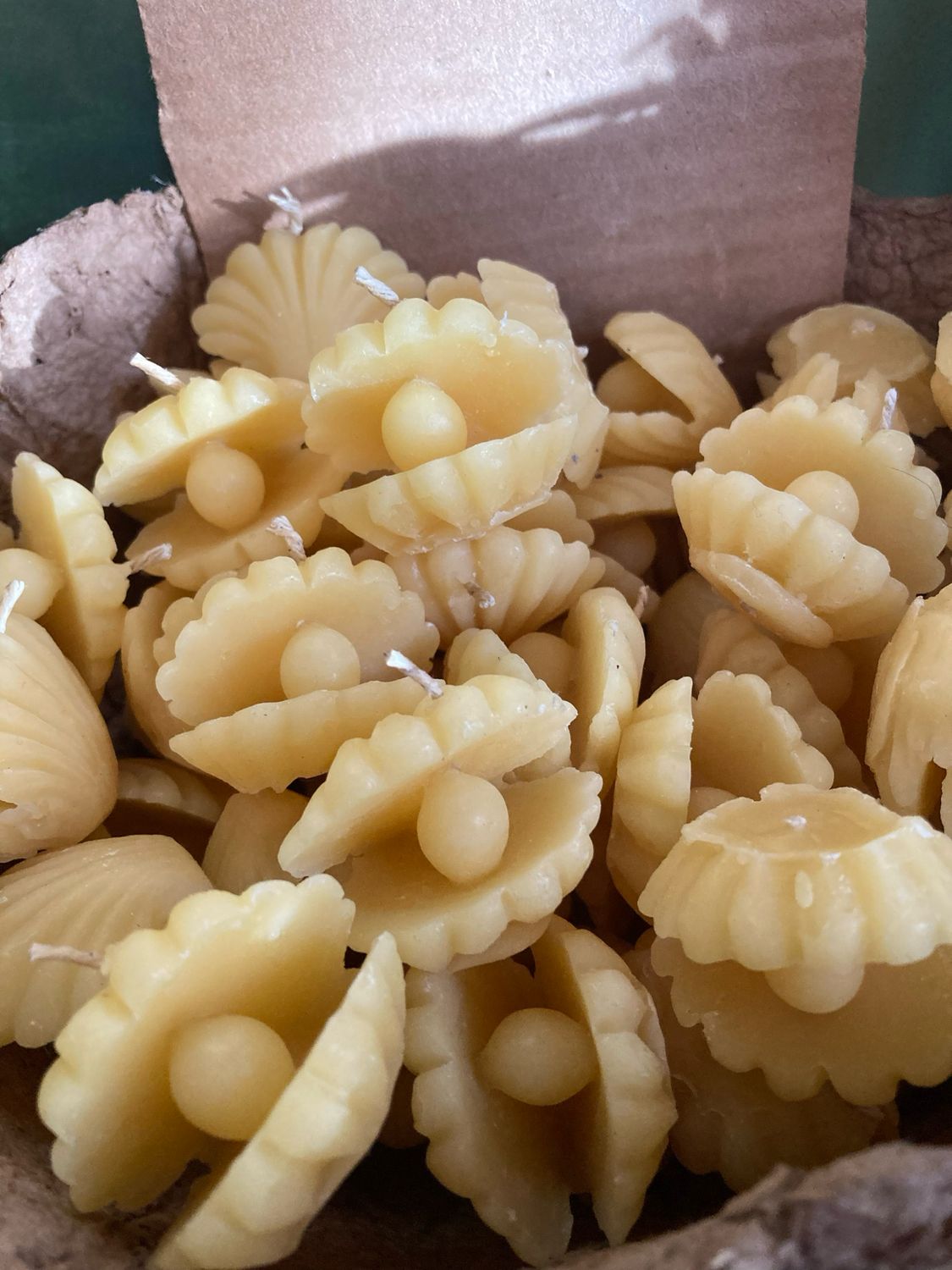 Oyster Beeswax Candle by Cre8tive Connexionz