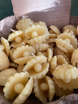 Oyster Beeswax Candle by Cre8tive Connexionz