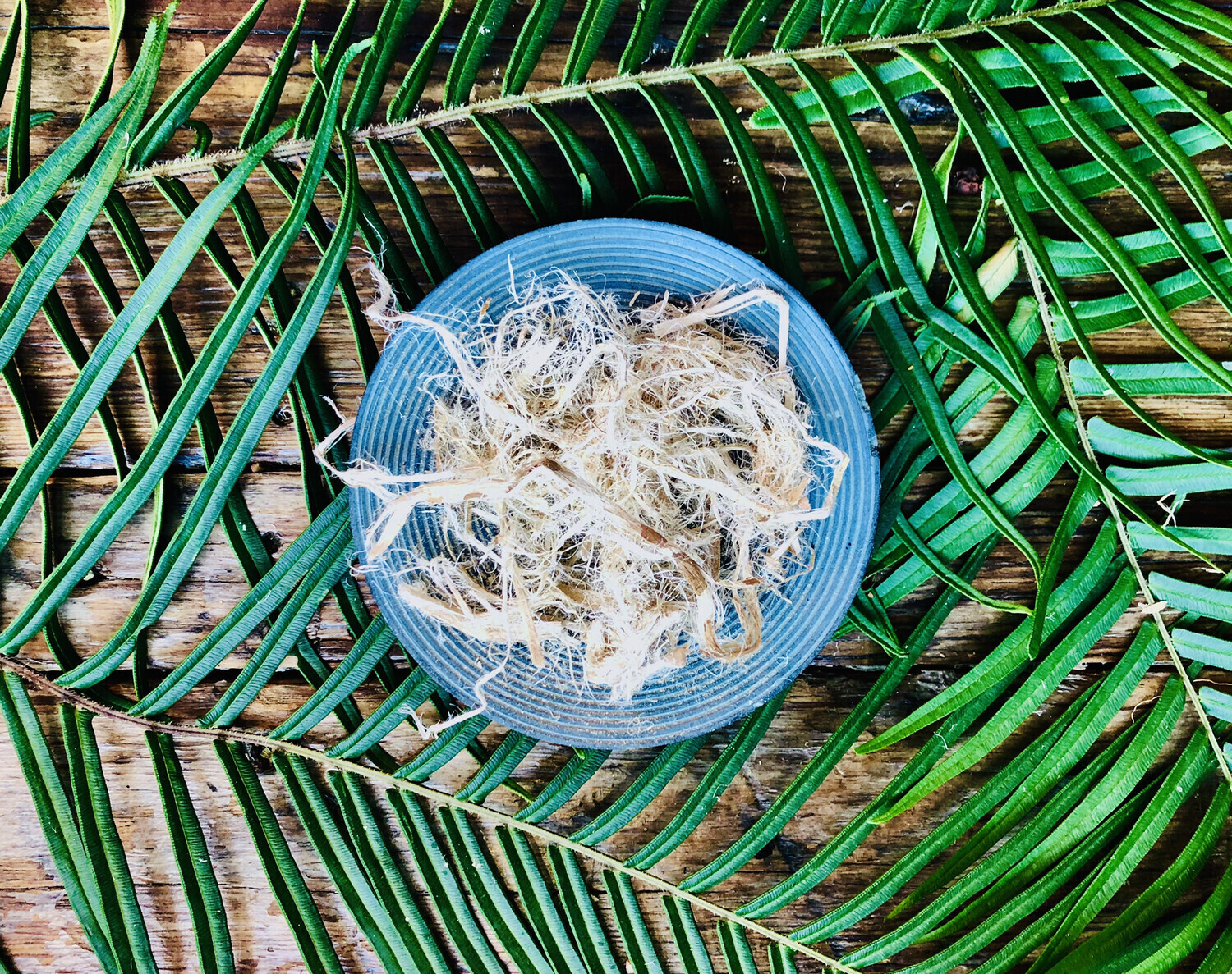 Slippery Elm Bark, Dried