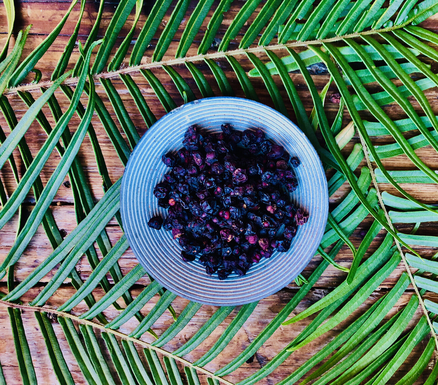 Schizandra, Dried