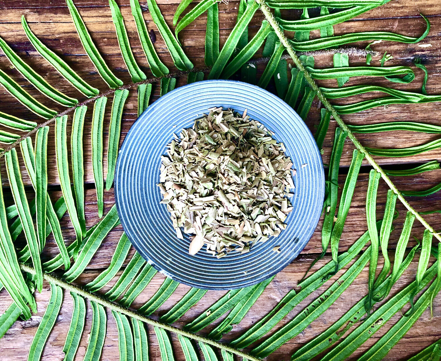 Olive Leaf, Dried
