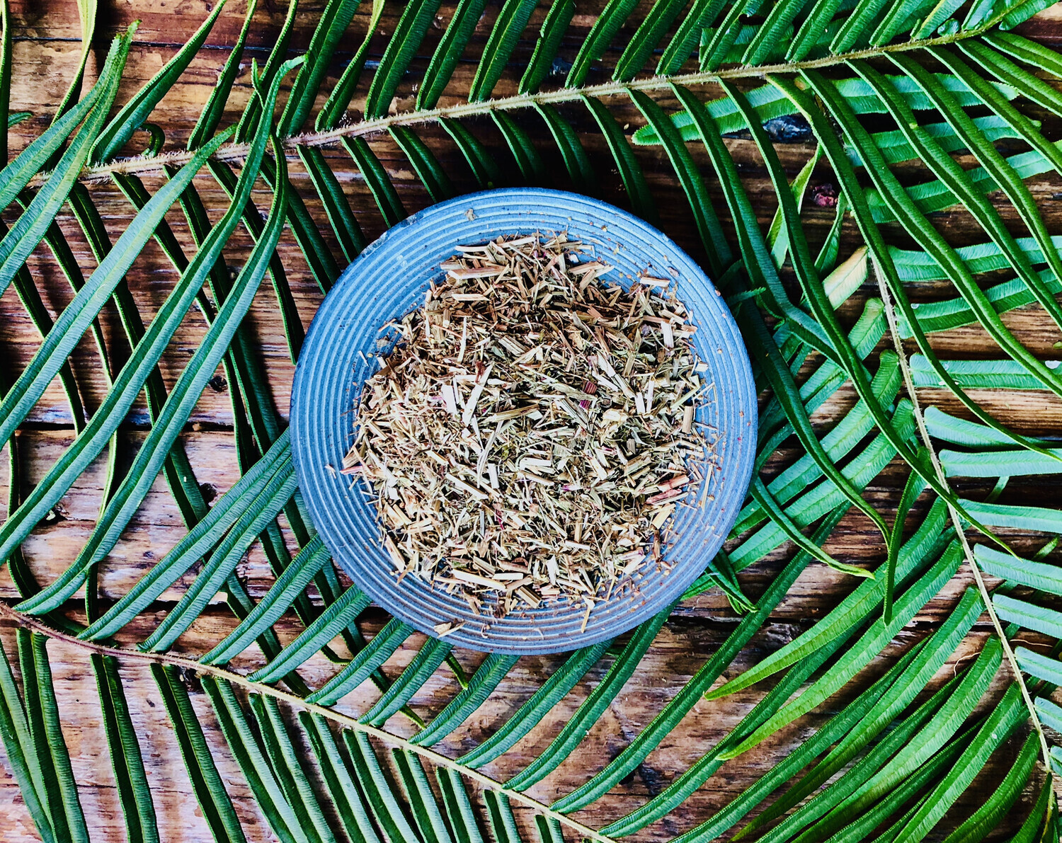 Sheep Sorrel, Dried