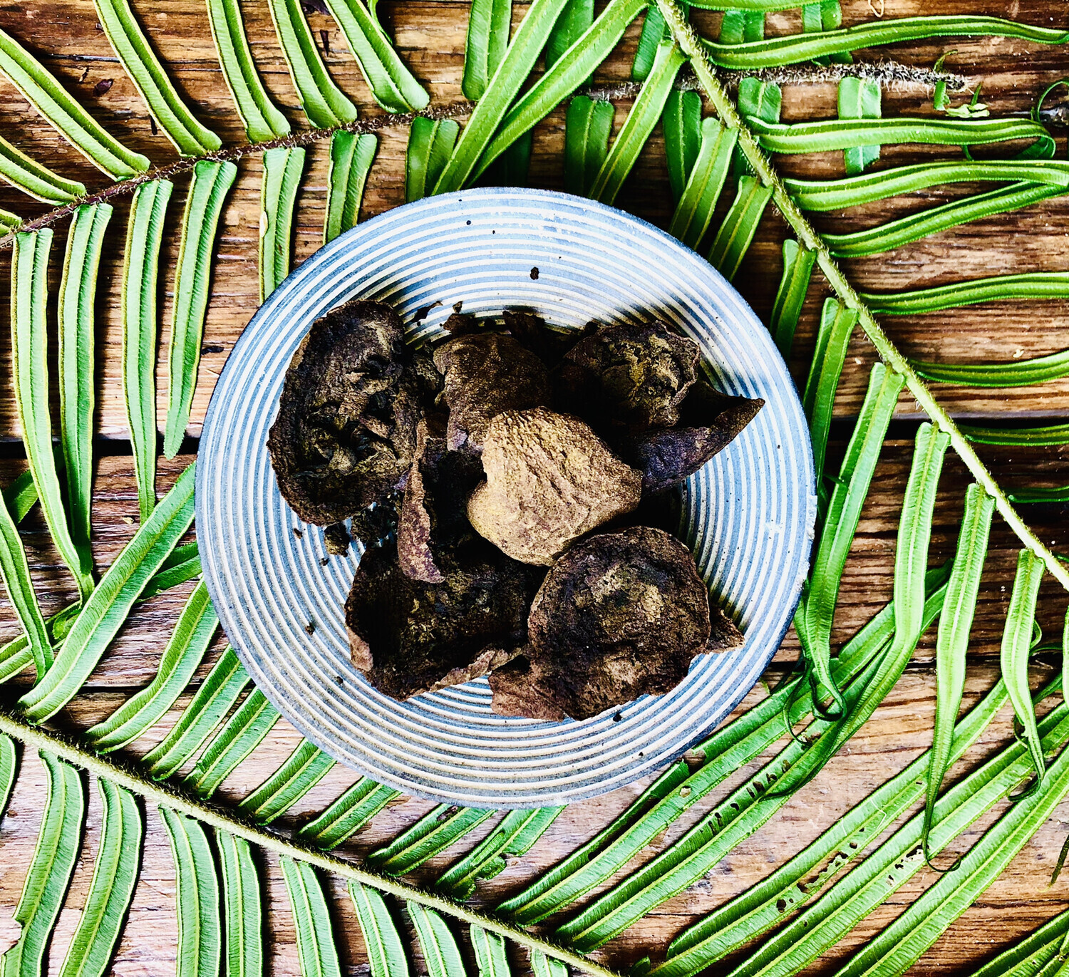 Black Walnut, Dried