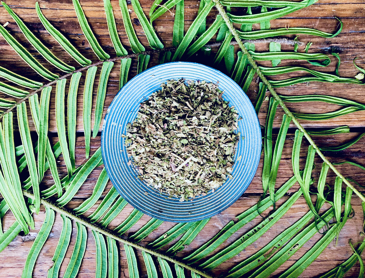 Lobelia, Dried