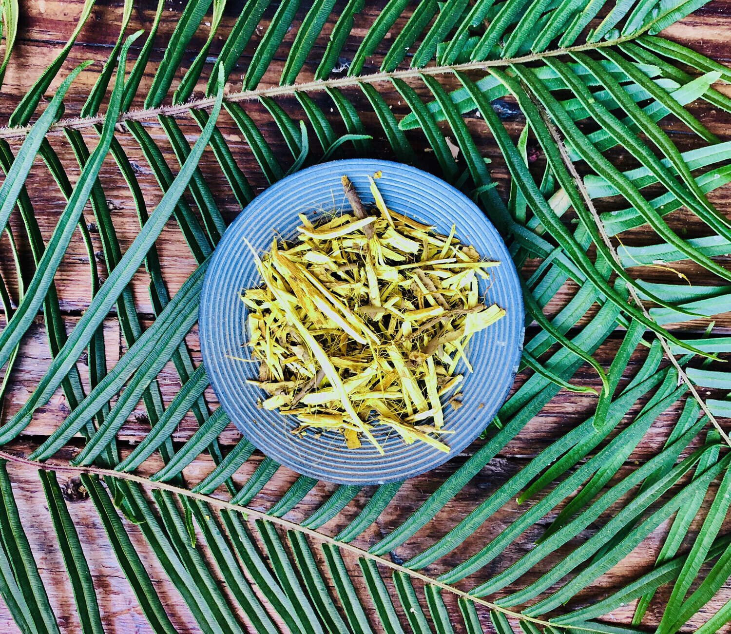 Yellowroot, Dried