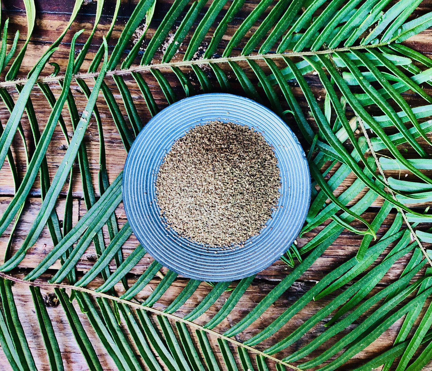 Celery Seeds, Dried