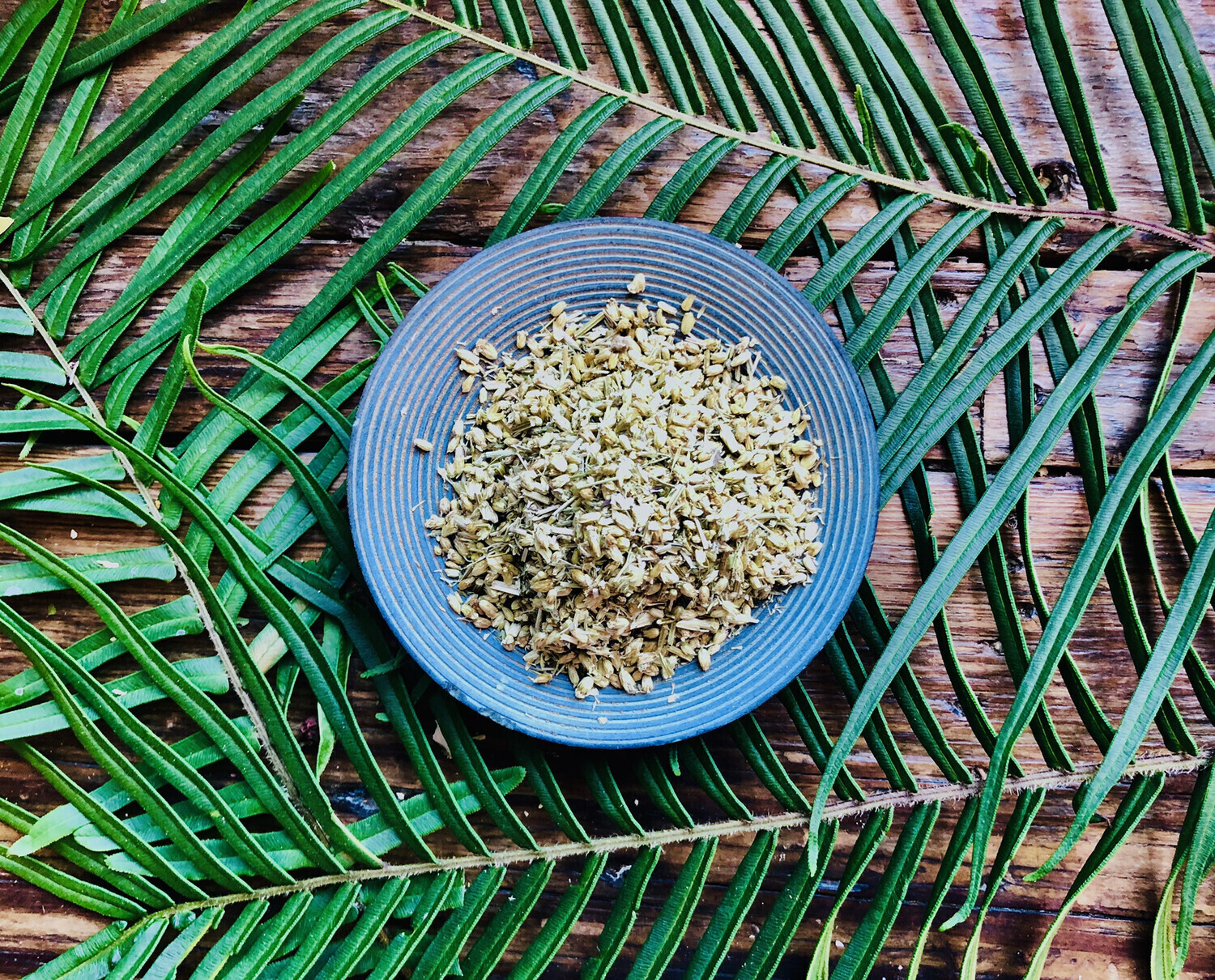 Yarrow, Dried