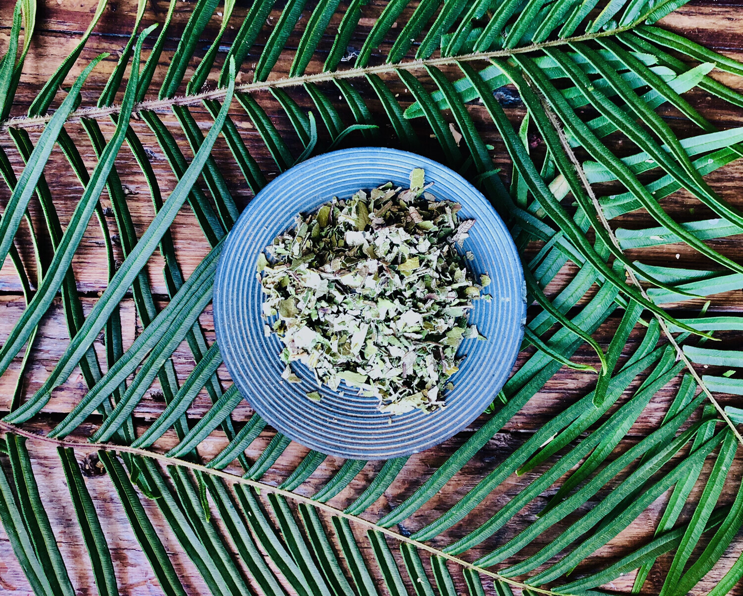 Yerba Santa, Dried