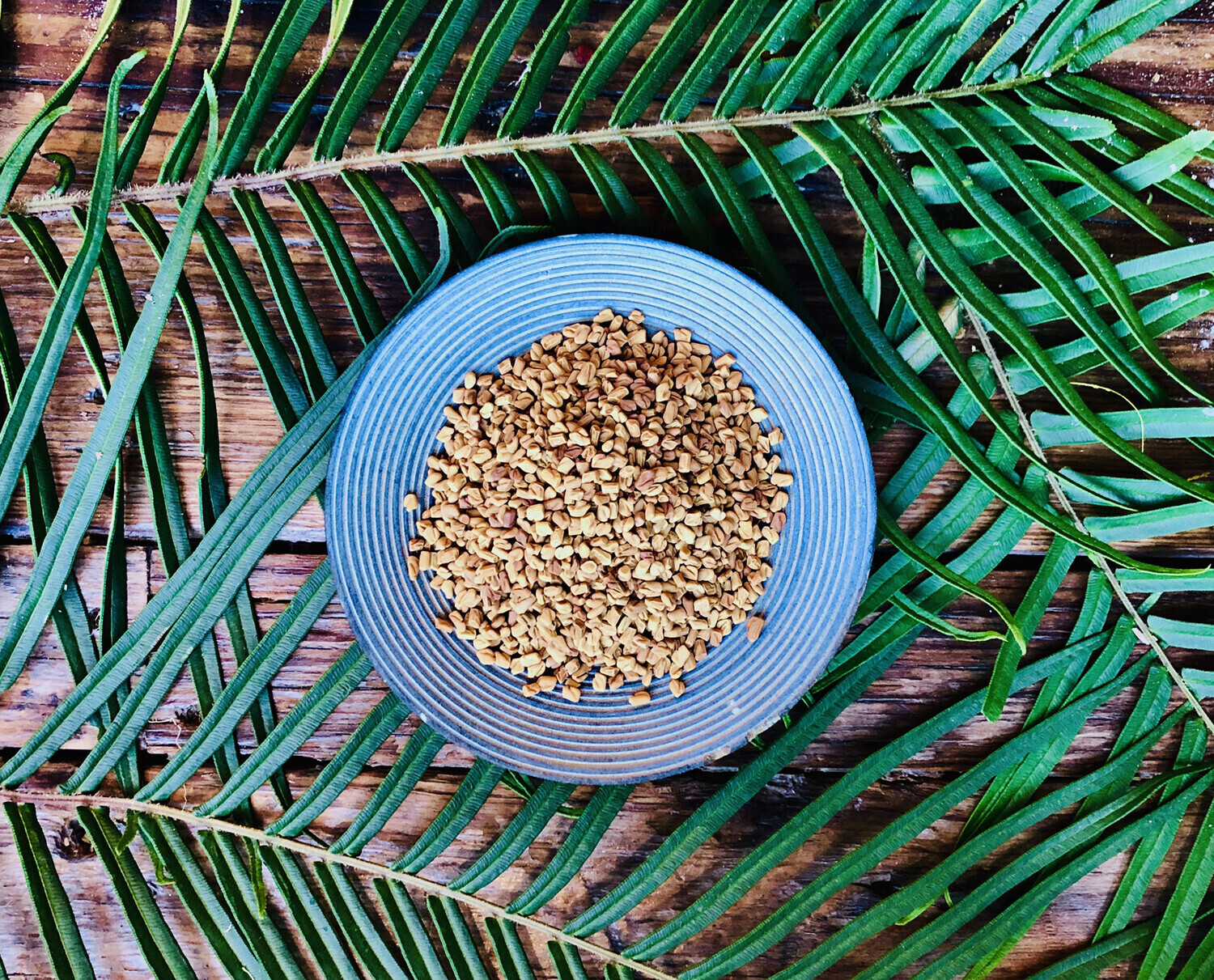Fenugreek, Dried