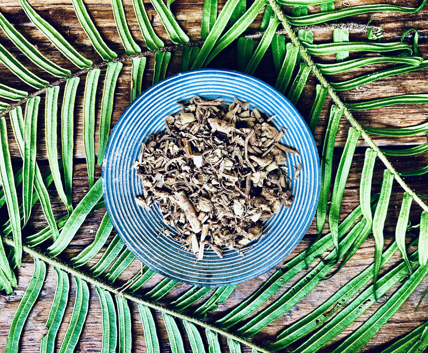 Butcher's Broom, Dried