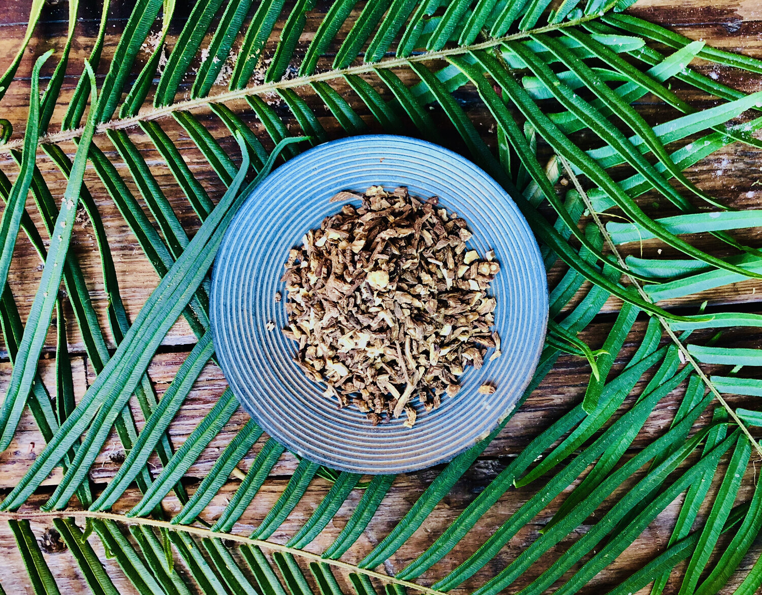 Dong Quai, Dried