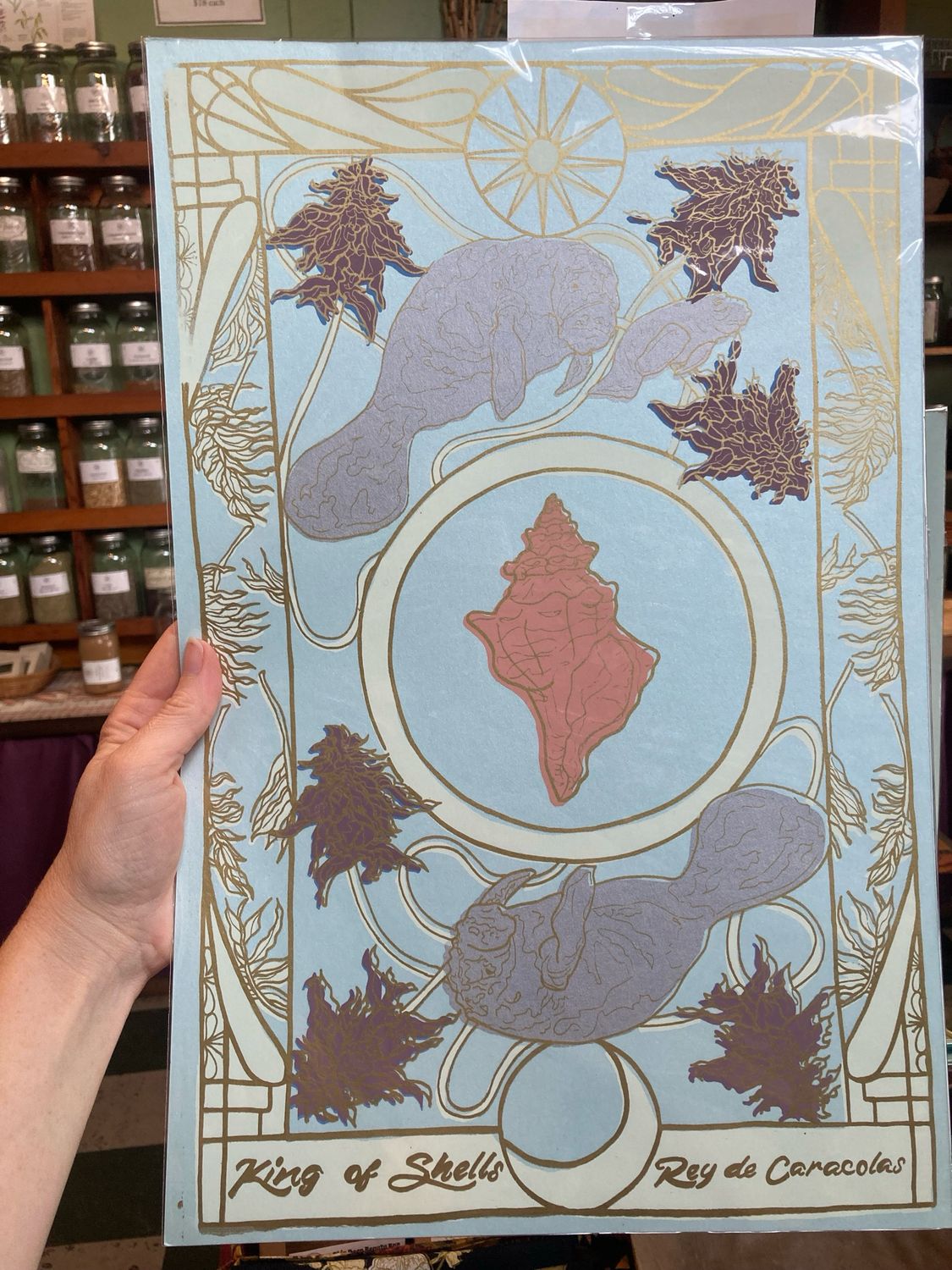 "King of Shells" Print by Rachel Speck