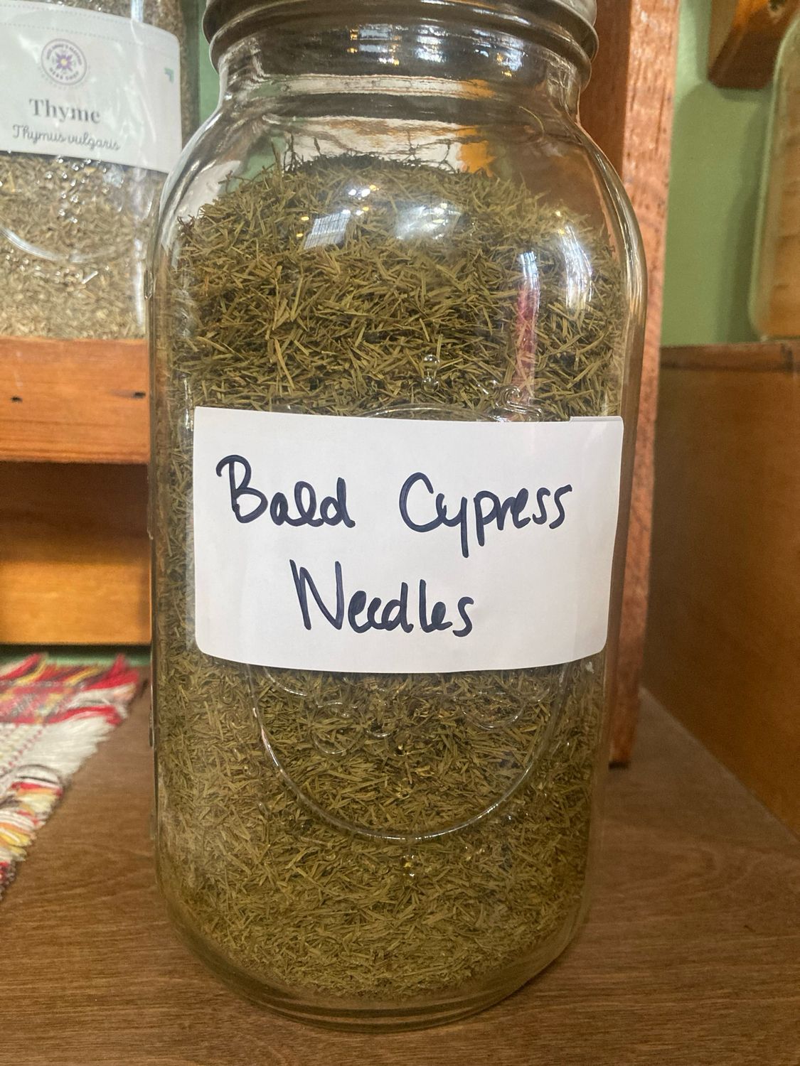 Bald Cypress Needles, Dried