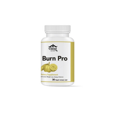 Burn Pro